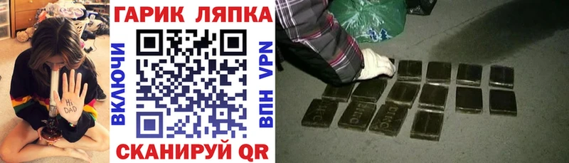 маркетплейс телеграм Губкин ГАШ индика сатива