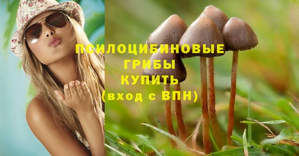 таблы Тайга
