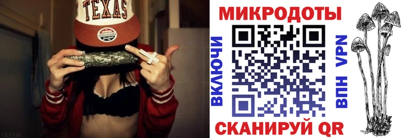 Галлюциногенные грибы Psilocybe  Губкин 